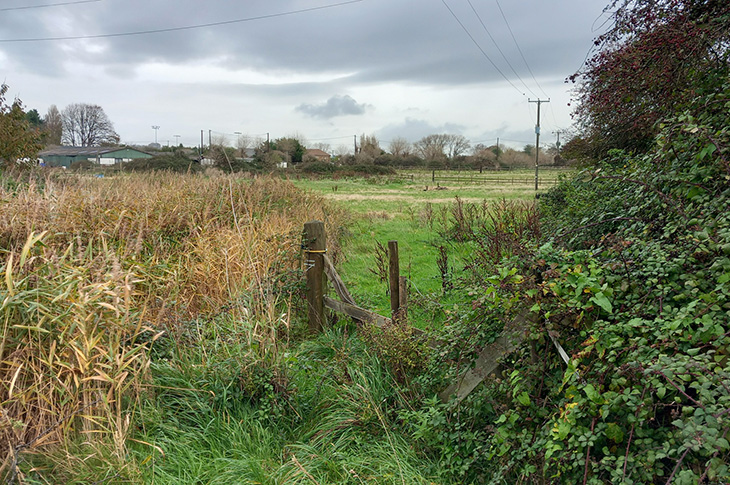 Old Salts Farm – the Old Salts Farm site as it currently looks (1)
