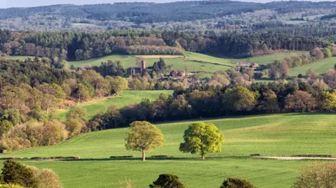 Getty Images The image is a long shot of the Surrey Hills. There are many trees. In the middle of the picture there are two green trees and buildings slightly behind them. It's nice weather, the sun is shining on the grass. 