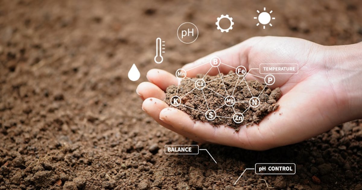 The complex political landscape hinders biological introduction into ASEAN