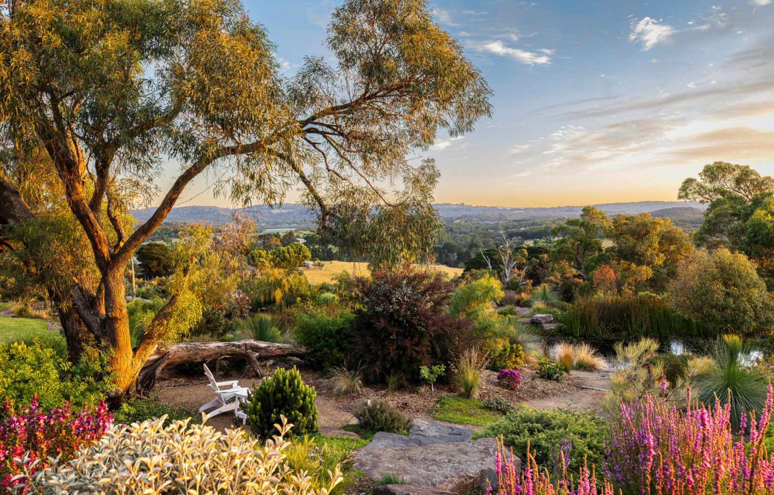 This beautiful native garden opens to the public in November