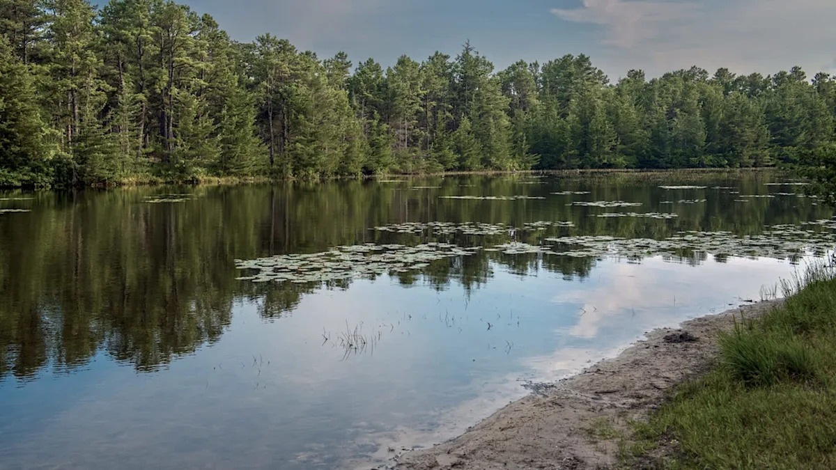 “We are very focused on preventing their introduction”