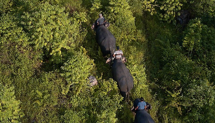 Why landscape initiatives are becoming increasingly relevant as supply risks increase for agri-food companies