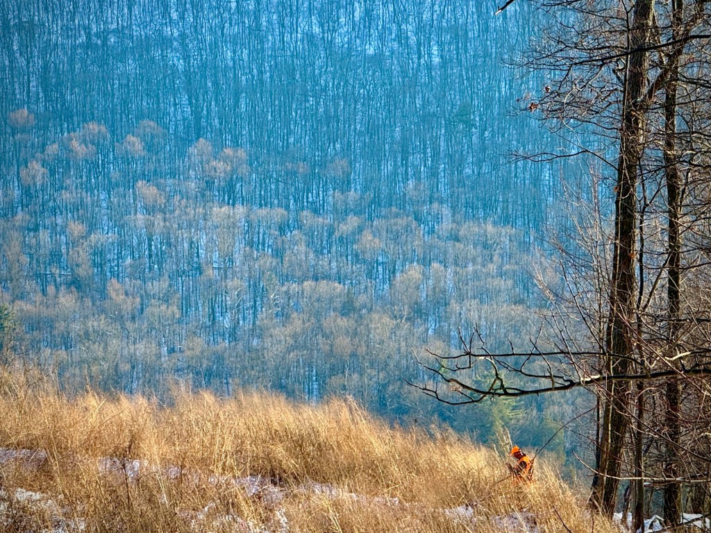 Rifle Season Considerations