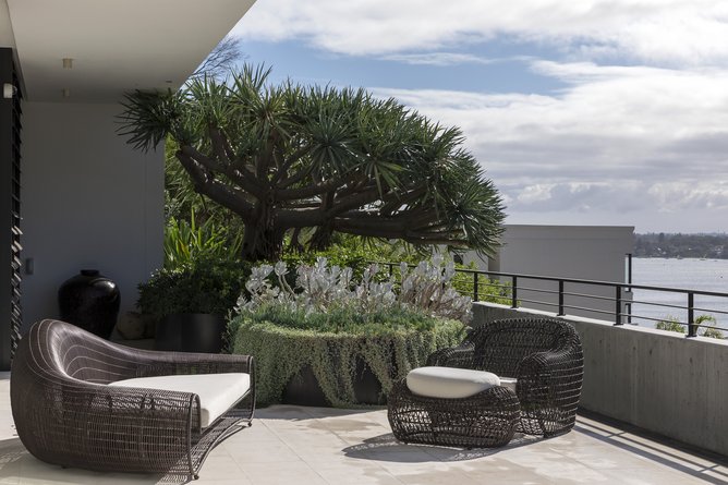 A terrace designed by TDL in a house in Mosman Park.