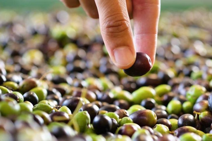 Construction of sidewalks in Ksamil and side fences, as well as roads where interventions will be made