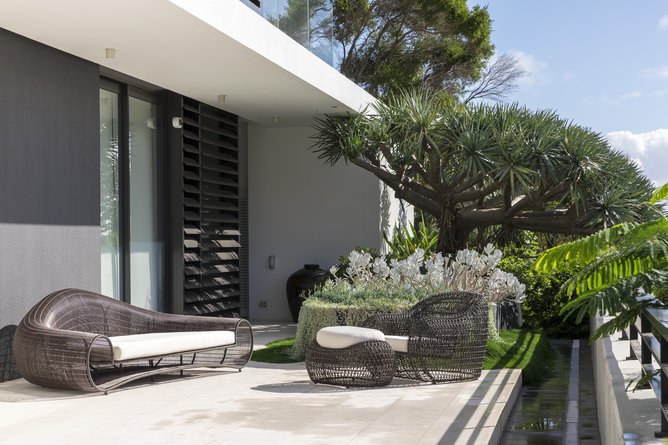Natural Elements: Tim Davies chose a bold dragon tree and layered succulents in large planters to anchor this space and paired them with curved furniture that softens the architectural lines of this Mosman Park terrace.
