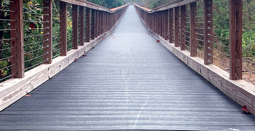 The Wetlands Boardwalk deck boards need to be replaced